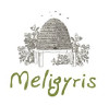 meligyris small - Miele di bosco, di timo e di piante selvatiche biologico