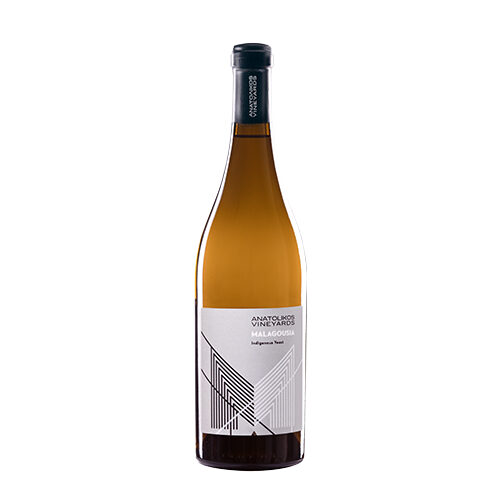 malagouzia bio cantina anatolikos vineyard 500x500 - Vino greco